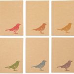 36 Pack Bird Note Cards with Envelopes, Blank All Occasion Thank You Cards, Rustic-Style (Kraft Paper, 4 x 6 In)